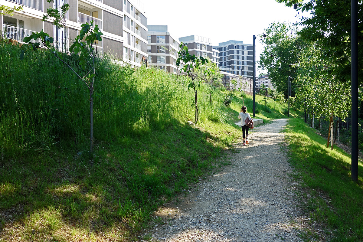 Maglia verde 28_Parco Radice