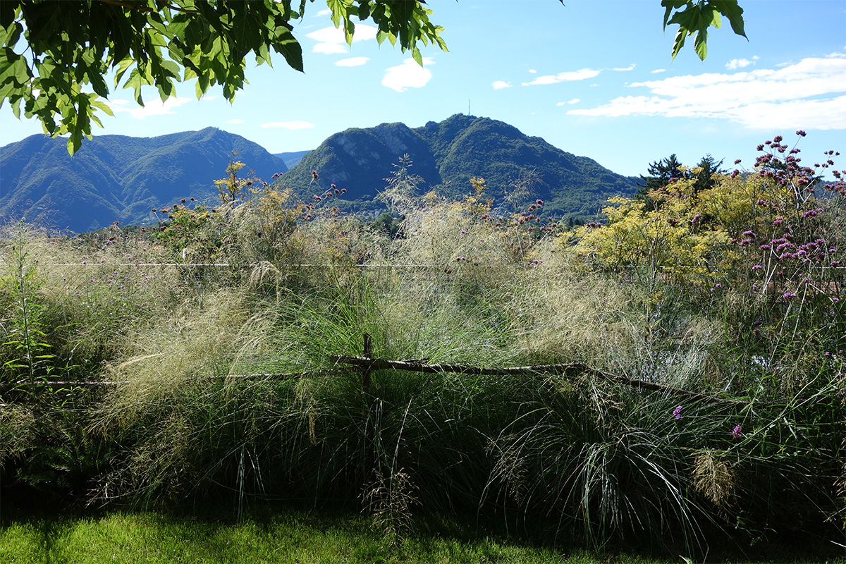 Maglia verde 21_Villa Roccia