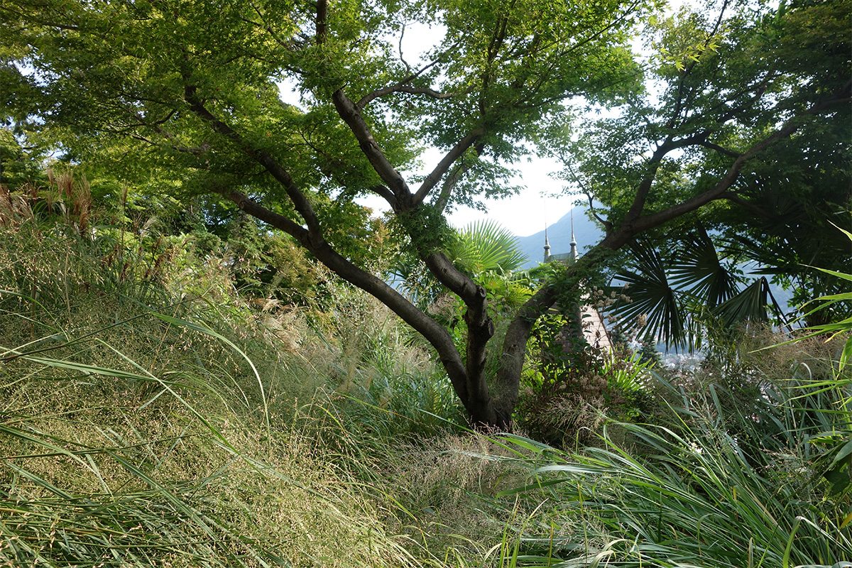 Maglia verde 20_Villa Foglia